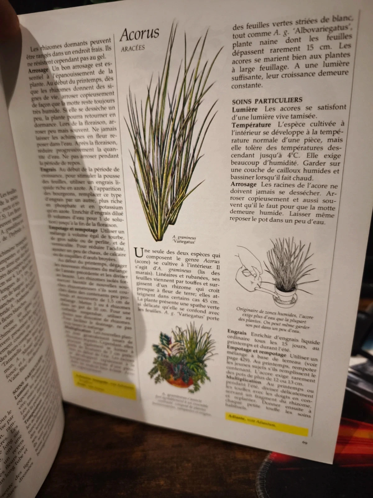 Gids voor kamerplanten reader's digest – photo 2